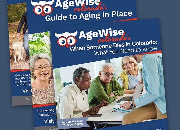 Stack of Aging in Place Guides. See link to page for details.